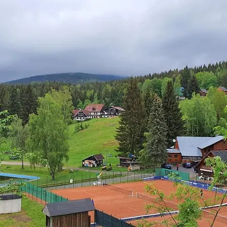 Vinkl
