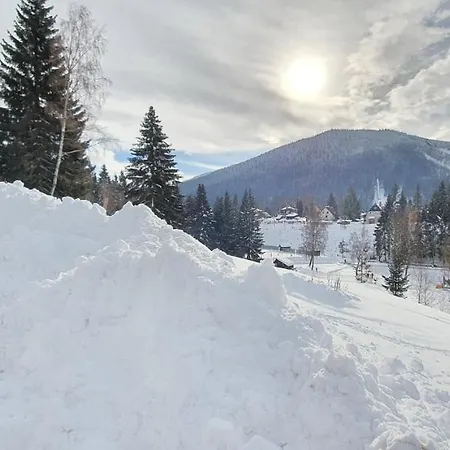 Maison d'hôtes Vinkl Harrachov