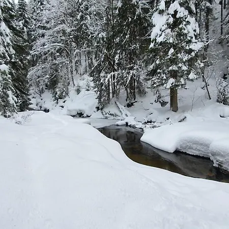 Vinkl Harrachov