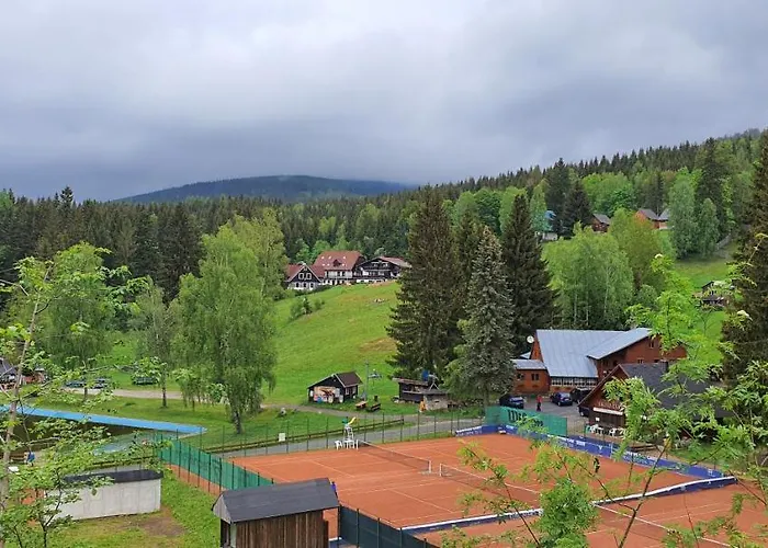 Vinkl