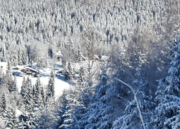 Casa de hóspedes Vinkl Harrachov