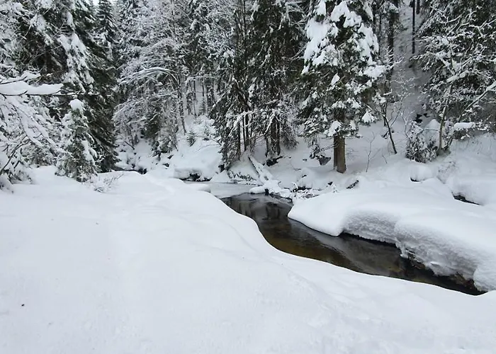 Vinkl Harrachov