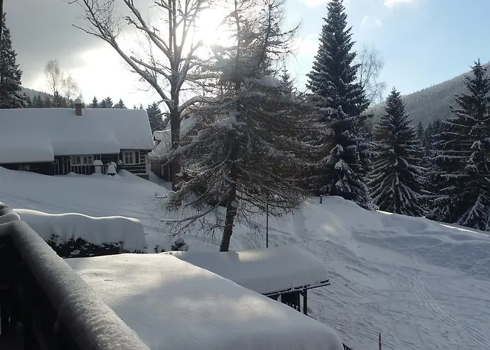 Vinkl Harrachov